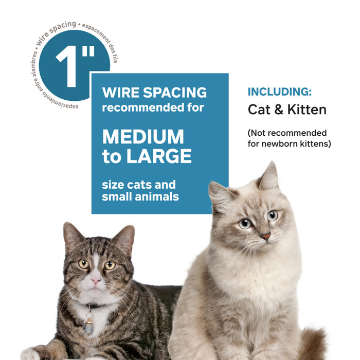 Archie & Oscar™ Elmo Cat Cage with Hammocks & Reviews Wayfair